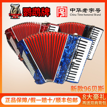 Parrot accordion Accordion YINGWU 96 Beth 37 Key YW-871 Accordion Beginner