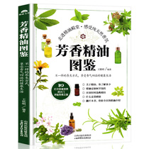 Aromatherapy essential oil guide Essential oil encyclopedia Essential oil formula Daquan book Aromatherapy essential oil book Essential oil purchase guide Base oil compound essential oil adjuvant treatment formula Daquan Womens skin care beauty body health books