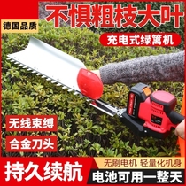 Lithium battery tea pickers rechargeable tea tea tree trimmer refurbishment King electric hedge trimmer fence shears