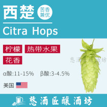 Xichu Citra American brewed hops granules T90 Pellets (fruity and bitter)