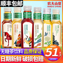 Nongfu Shanquan Oriental leaves 500ml*15 bottles full box Xuan rice Jasmine Green Citrus Puer Tea sugar-free tea drink