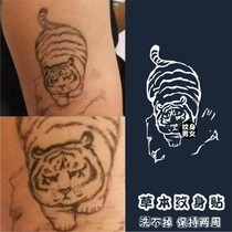 Herbal Juice Tiger down the mountain tattoo sticker cute cute tattoo cant get off waterproof and lasting