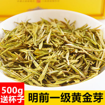 Golden Bud tea 2021 new tea Mingqian special first-class Anji white Tea Golden Leaf Green Tea gift box canned 500g