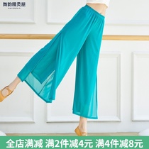New dance pants female adult elegant mesh split wide-leg pants classical dance dance pants Chinese performance clothes
