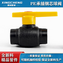 PE pipe fittings water pipe pipe 20mmPE steel core ball valve HDPE pipe fitting PE valve switch