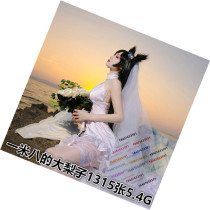zr 329 model character pose photography material
