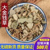 Golden Money Grass Dry Chinese Herbal Medicine Large Leaf Gold Money Grass 500g Bubble Water Wide Gold Money Herbal Tea Chinese Herbal Medicine Shop