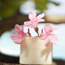 Lifesaving grass repair whitening soap after the sun must be used for the whole body in summer with forest courtyard handmade cold soap