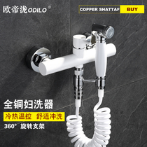 All-copper womens washer Hot and cold water butt washer flushing device Body cleaner Mop pool faucet Toilet spray gun nozzle set