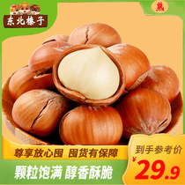 Hazelnut nuts original Northeast specialty fried goods with shell 500g bulk children and pregnant women leisure snacks cooked dried fruits