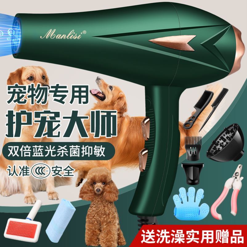 Pet water blower Dog high-power silent large dog special hair blowing artifact Blow dryer Hair blowing artifact 
