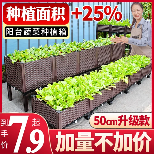 Ящик для посадки Pymatic Capital Family Balcony овощ