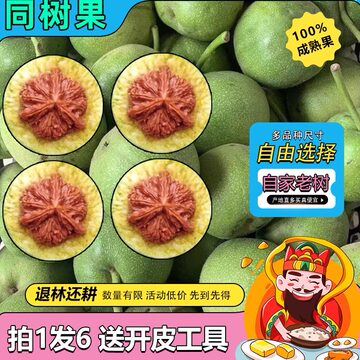 新手文玩核桃-新手文玩核桃促销价格、新手文玩核桃品牌- 淘宝
