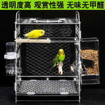 New budgerigar acrylic home transparent panoramic viewing anti-flying hair splashing bird cage accessories