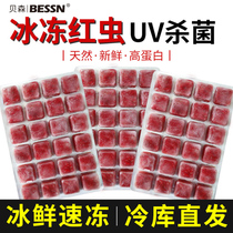 Red worm frozen cow heart burger Daphnia plump shrimp red red red nematode Rohan fish food colorful fairy fish food fish feed