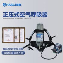 RHZKF6 8 30 respirator type industrial air positive pressure air