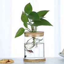 Wholesale Transparent Glass Vases Green Lori Water Peels Glass Bottles Living-room Creative Little Fresh Tabletop Pendulum Pieces Decorative Flower Pots
