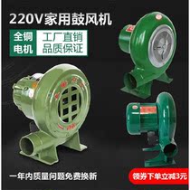 220V powerful high-power blower household stove canteen iron stove combustion hair dryer barbecue outdoor hair dryer