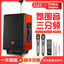 Wanlida small flying audio outdoor square dance Speaker K song Bluetooth big volume with wireless microphone performance pull