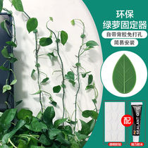 Green plant green rose fixed wall artifact no trace household adhesive hook buckle climbing wall climbing vine plant styling clip
