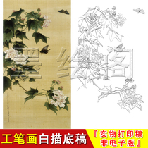 Yu Zheng HD Painting Flower Floster Butterfly Simply copy the Line in kind print white description base JV08