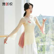 Classical dance national modern body rhyme dance performance clothing Chinese dance practice uniform color jacket female art test gauze clothing