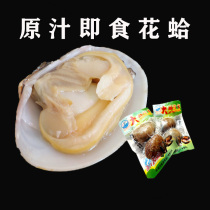 Ready-to-eat Flower Clams Liaoning Teaters Fishing Family Seafood snacks Sasha Shell Original taste Flower A clam scallope scallope 500 gr