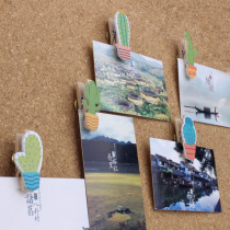 10 do not hurt photo clip pin ins small net red book Cactus message felt cork board Press nail