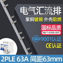 Electrical bus bar 2PLE 63A copper national standard leakage open cable row copper bar dressing bus direct sales