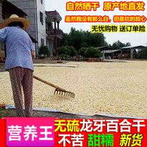 Authentic dragon tooth sweet Lily dry goods super edible dry Lily tablet soaked water no sulfur white water 500g