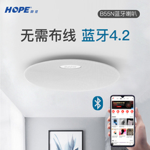 HOPE B55N Bluetooth audio speaker Home ceiling ceiling Bluetooth speaker set