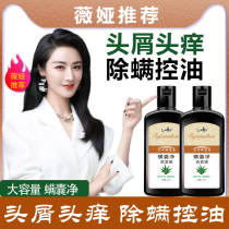 Dedandruff special anti-dandruff anti-itching shampoo medicine dandruff serious oil control degreasing degreasing official