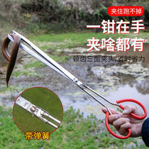 Clay-Trapping Loach Yellow Eel Finless Eel Clips Stainless Steel Pliers Anti-Sea God catch crab lobster special tools