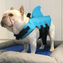 Pet dog bathing suit French bucket life jacket Shark bathing suit Pug Teddy small and medium-sized dog water play supplies