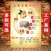 The benefits of ginger shampoo advertising poster head recuperation pictures traditional Chinese medicine shampoo hanging painting tea Bran ginger therapy wall stickers