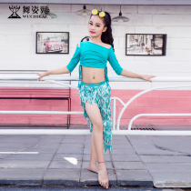 Dance wing children belly dance dress practice clothing 2018 new autumn and winter modal fashion suit female RT302