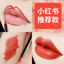 High-end nude lip pen Lip liner Orange and red waterproof double-headed long-lasting flagship store automatic female painting lips