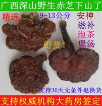2021 HARVEST GUANGXI DEEP MOUNTAIN PURE WILD GANODERMA LUCIDUM WHOLE BRANCHES RED GANODERMA lucidum TRADITIONAL TONIC 9-13CM250G