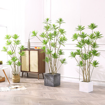 Nordic ins wind simulation Lily bamboo net red Landing plant large potted indoor fake tree window decoration green plant