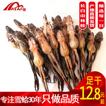 Mountain people 10 free 1 Changbai Mountain forest frog dried whole 13 grams of snow snow clam oil dried toad dried snow clam dried