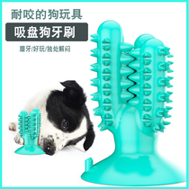 Foreign trade with suction cup dog toy cactus dog toothbrush can put snacks toothpaste resistant bite grinding stick tooth bone pet