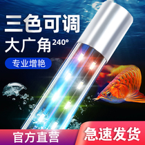 Fish cylinder lamp lighting led waterproof small three-color lamp special Aquarium diving lamp dragon fish