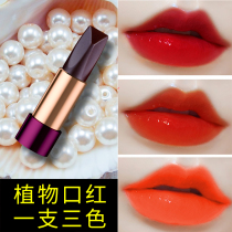 A three-color lipstick does not fade no cup black rose Black Diamond rich niche lipstick parity student female