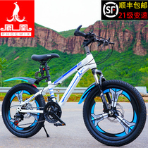 Phoenix Childrens Bicycle Middle School 6-8-12-year-old boy primary school student mountain bike disc brake Variable pedal bicycle