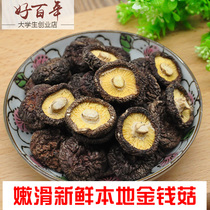 Sanming Shiitake mushroom 500g bag local small shiitake mushroom money mushroom Shiitake mushroom meat thick feet short dry goods farm non-ancient field