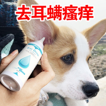 Dog ear drop oil in addition to dog ear mites Dog ear cleaning ear wash liquid Dog ear oil Puppy ear cleansing and ear protection oil