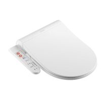 Wrigley Bathroom intelligent toilet cover Toilet cover automatic warm air drying electric instant hot flushing AK1007