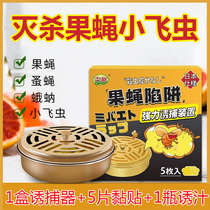 Fruit shop special insect-killing fruit fly insect repellent insect repellent trap attractant insecticide kitchen small flying insect artifact