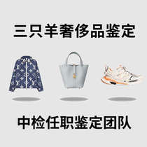 LV BaPauli GUCCI Paris Shijia MCM McKuny Luxury Appraisal Real Fake Medieval Bag Clothing Shoe Scarves