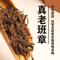 Purple Changs Old Banzhang Puer Tea Cooked Tea Banzhang Ancient Tree Tea Official 18 Years Official 18 Year Flagship Gift Box Bulk
